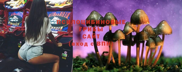 ALPHA-PVP Мегион