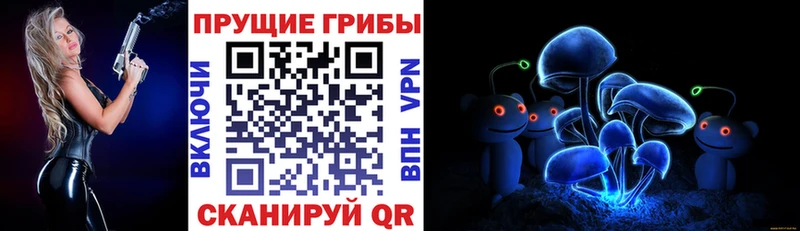 Галлюциногенные грибы GOLDEN TEACHER кракен вход Юхнов где продают